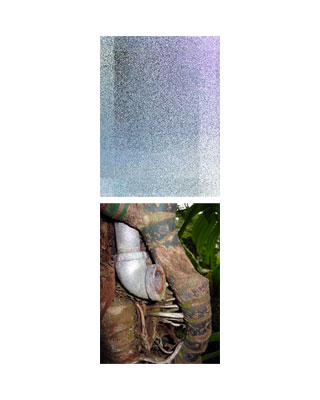 entDFP